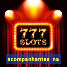 acompanhantes na vila nova cachoeirinha sp